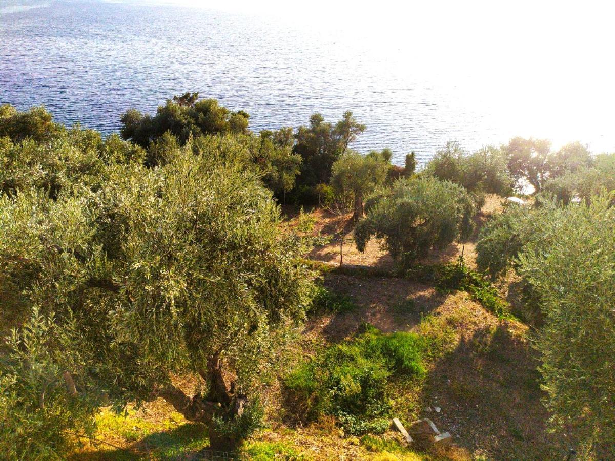 Villa Leonidas Greecefiloxenia Lefókastron Exterior foto